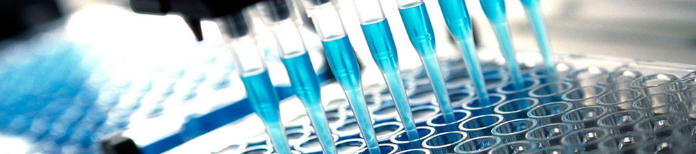 Position: Biotech Software Engineer